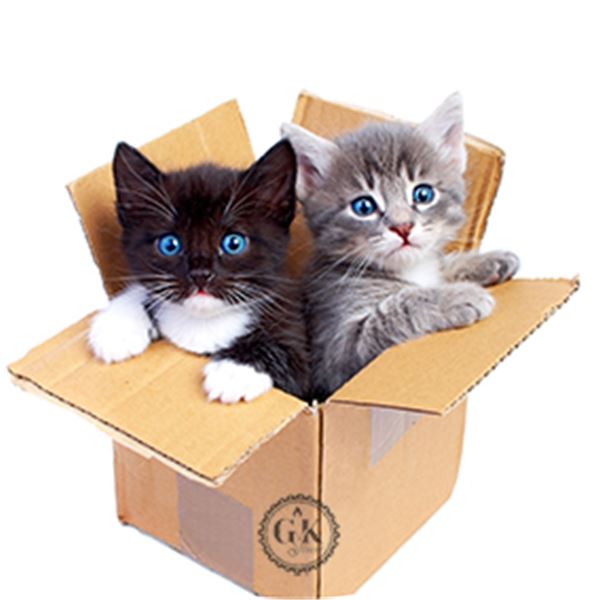 Ehető ostyalap (kifutó) - Image 16